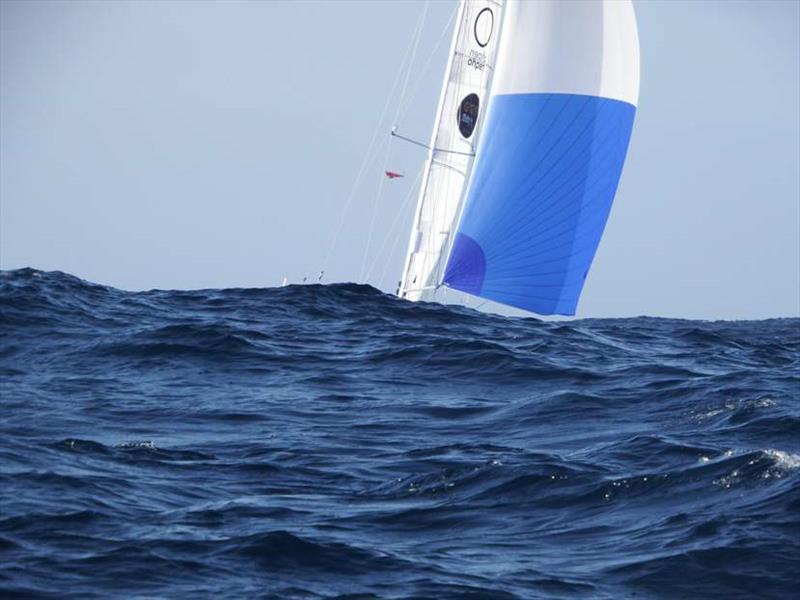 Mark Slats' Rustler 36 Ophen Maverick under spinnaker. - photo © Tapio Lehtinen / PPL / GGR