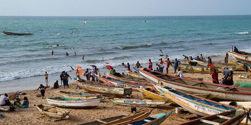 Fishery Improvement Project (FIP) for small pelagic fisheries in Mauritania - photo © Golden Globe Race