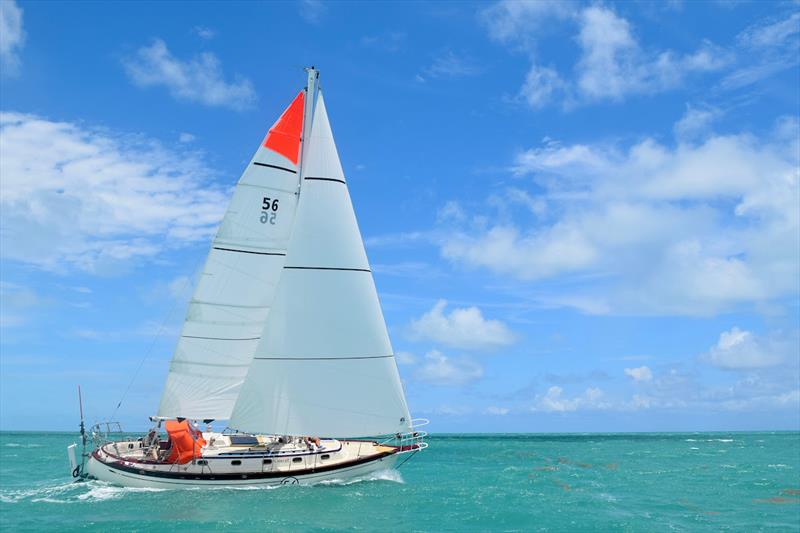 Guy deBoer (USA) had a scary near miss with a fishing vessel but is sailing well and feels very good about his choice of a Toshiba 36 designed by BOB PERRY photo copyright GGR2022 / Guy deBoer Team taken at  and featuring the Golden Globe Race class