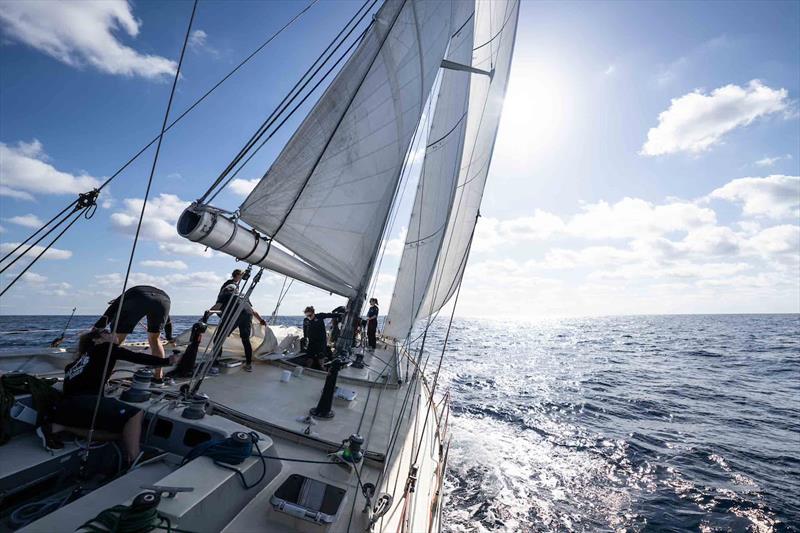 Pen Duick VI, fresh out of refit, is looking magnificent. She is now in the Canary Islands after a 1200-mile passage and splashing on December 14 - photo © Martin Keruzoré