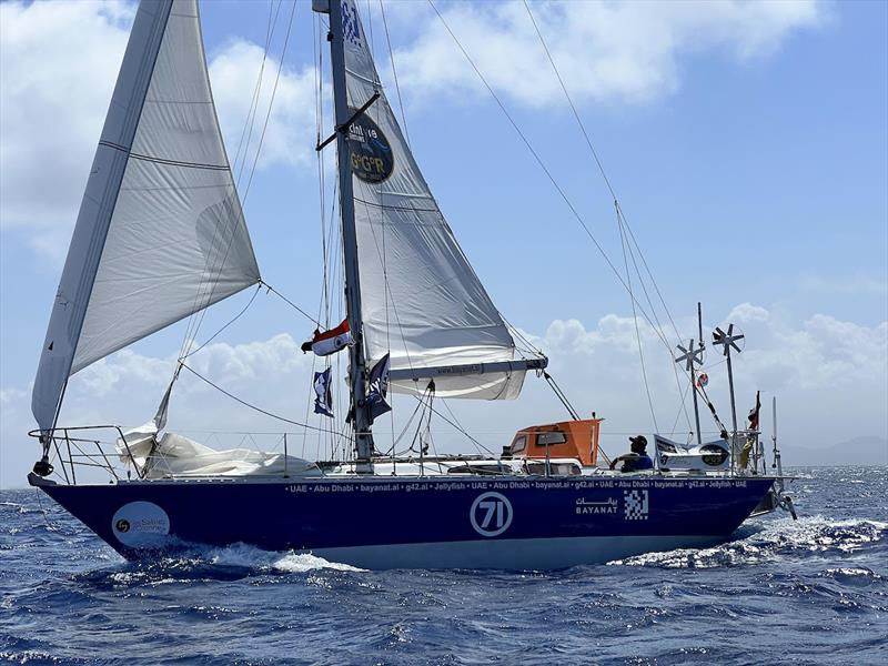 Abhilash Tomy's (Bayanat) second Cape Horn rounding despite gear failure photo copyright Aïda Valceanu / GGR2022 taken at  and featuring the Golden Globe Race class