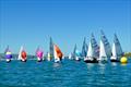 GP14 Ulster Championship at East Antrim © Andy Johnston