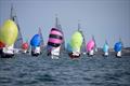 GP14 World Championship on Belfast Lough Day 2 &copy; Bradley Quinn