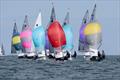 GP14 World Championship on Belfast Lough Day 2 &copy; Bradley Quinn