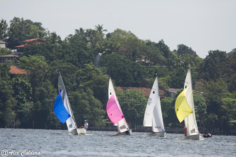 GP14 Anniversary Celebrations in Sri Lanka: Reaching leg photo copyright Alex Caldera taken at Ceylon Motor Yacht Club and featuring the GP14 class