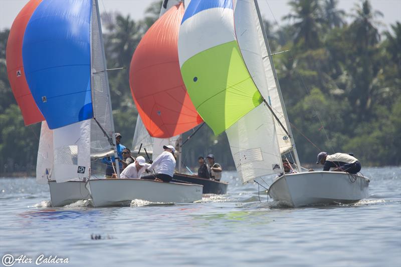 GP14 Anniversary Celebrations in Sri Lanka: Gnanawardene and de Soyza to windward of Duncan and Gail, and Devin and Kaif, with teenagers Jehan and Tarini on their tail photo copyright Alex Caldera taken at Ceylon Motor Yacht Club and featuring the GP14 class