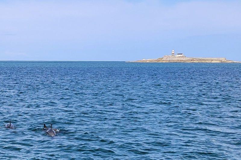 Dolphins - GP14 Munster Championship at Tralee Bay - Day 1 photo copyright Andy Johnston taken at Tralee Bay Sailing Club and featuring the GP14 class