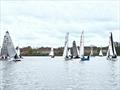 Graduate Southerns at Chipstead © Shirlee Reid-Hamilton