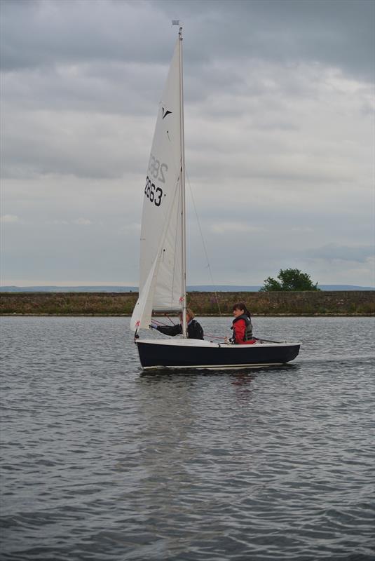 Inaugural Elton SC Ladies Regatta photo copyright Dave & Joy Read taken at Elton Sailing Club and featuring the Gull class