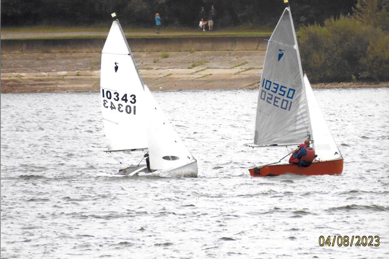 Heron Southerns at Bewl photo copyright Jo Mayes taken at Bewl Sailing Association and featuring the Heron class