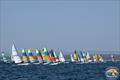 50th Australian Hobie Cat Nationals at Jervis Bay, NSW © Brad Sissins / Hobie Asia Pacific