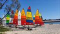 © Queensland Hobie Cat Association