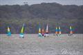 NSW Hobie Cat State Championships 2024 © Alannah Simpson