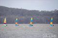 NSW Hobie Cat State Championships 2024 © Alannah Simpson