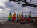 Victorian Hobie Cat State Championships 2024 © Abi Morgan