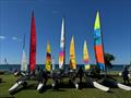 © Hobie Cat Association of WA