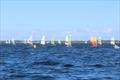 2026 Hobie Cat NSW State Championships at Wangi RSL Amateur Sailing Club