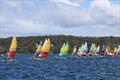 2026 Hobie Cat NSW State Championships at Wangi RSL Amateur Sailing Club