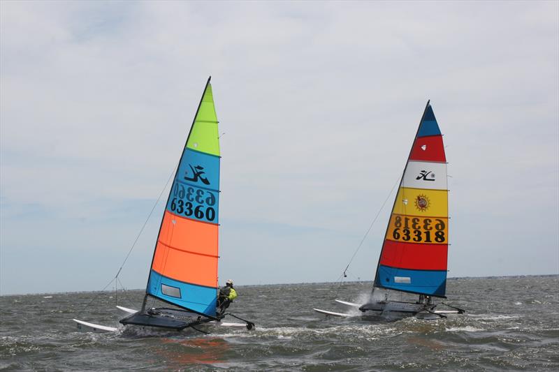 Alter Cup Trophy - 2019 U.S. Multihull Championship photo copyright Leon Kanopka taken at  and featuring the Hobie 14 class