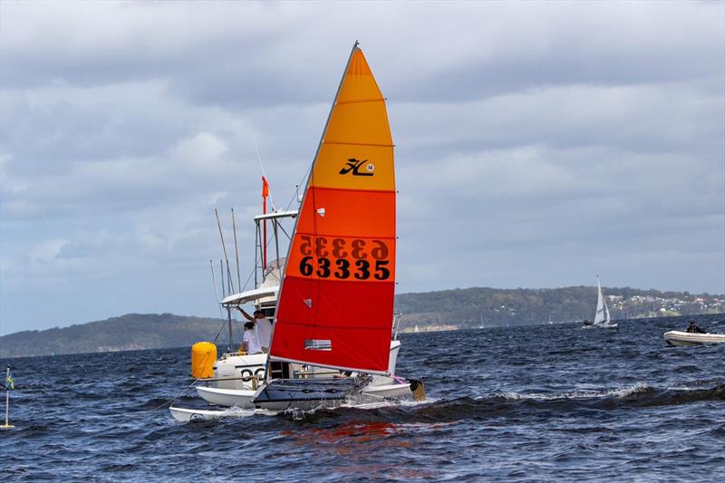 Bryn Robinson-Mills winner of Race 1 and 2 - Zhik Combined High Schools Sailing Championships photo copyright Red Hot Shotz Sports Photography taken at Belmont 16ft Sailing Club and featuring the Hobie 14 class