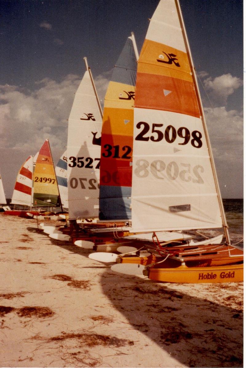 Hobie 14s at Pinaroo Pt, Whitfords BSC - Carls boat, Hobie Gold photo copyright H14 class taken at  and featuring the Hobie 14 class