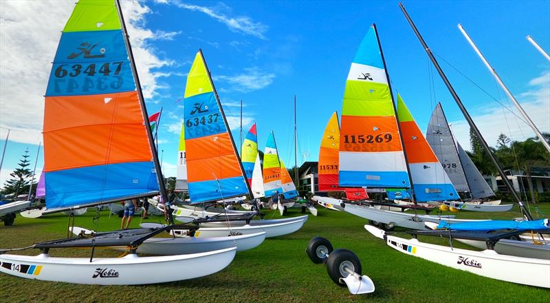 Queensland Hobie Cat State Championships - the stomping grounds - photo © Spikey Mike