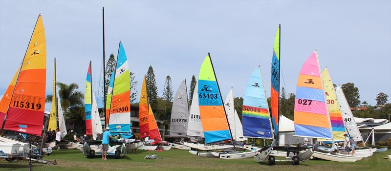 Queensland Hobie Cat State Championships photo copyright Spikey Mike taken at Royal Queensland Yacht Squadron and featuring the Hobie 14 class
