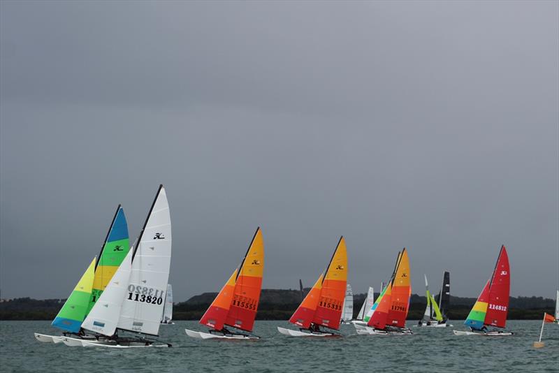 2023-24 NSW Hobie Cat State Championships at the Kurnell Catamaran Club photo copyright Alannah Simpson taken at  and featuring the Hobie 14 class