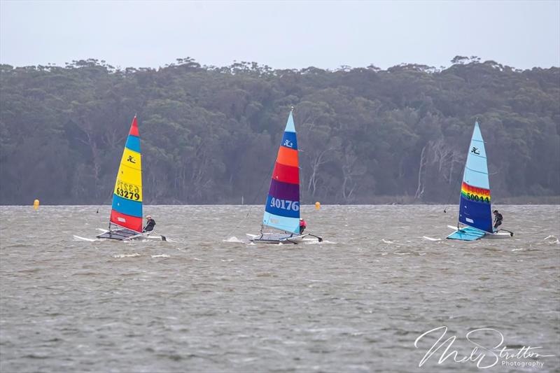 NSW Hobie Cat State Championships 2024 photo copyright Alannah Simpson taken at Toukley Sailing Club and featuring the Hobie 14 class