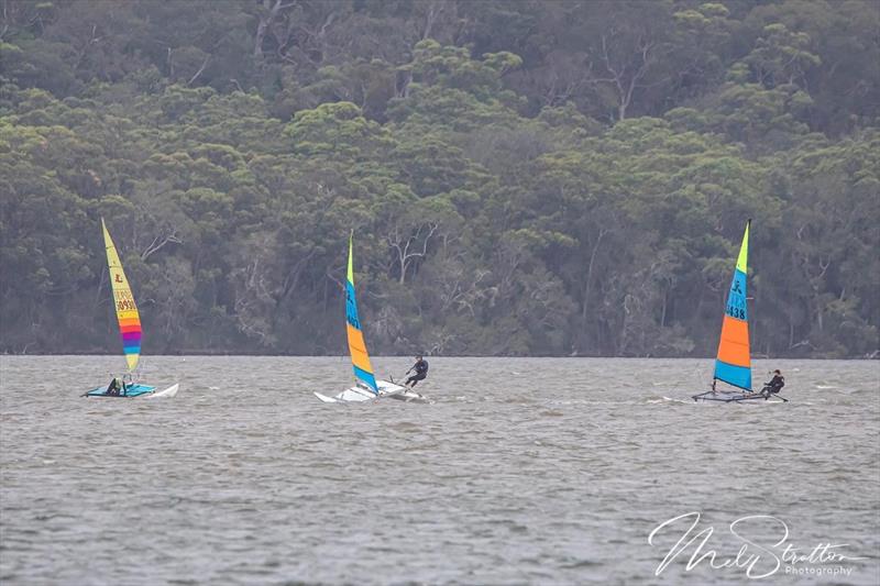 NSW Hobie Cat State Championships 2024 photo copyright Alannah Simpson taken at Toukley Sailing Club and featuring the Hobie 14 class