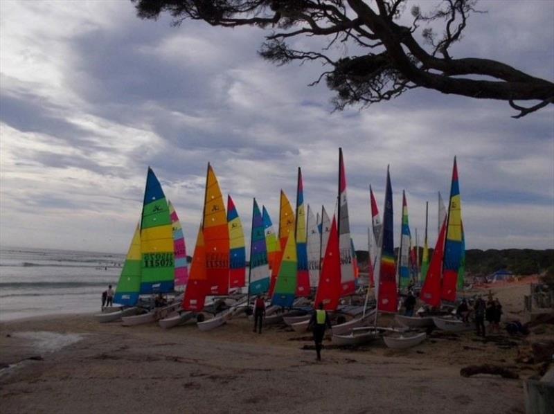 Victorian Hobie Cat State Championships 2024 - photo © Abi Morgan