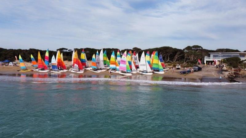 Victorian Hobie Cat State Championships 2024 photo copyright Abi Morgan taken at Anglesea Motor Yacht Club and featuring the Hobie 14 class