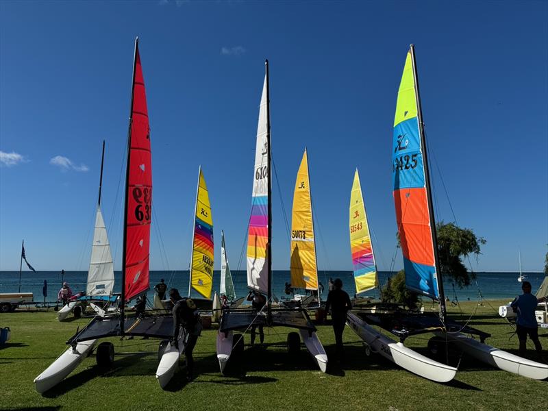WA Hobie 14 on the lawn at GBYC - photo © Hobie Cat Association of WA
