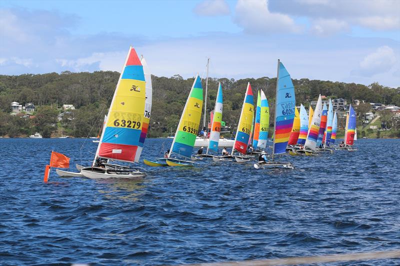 2026 Hobie Cat NSW State Championships at Wangi RSL Amateur Sailing Club photo copyright Gavin Luxton taken at Wangi RSL Amateur Sailing Club and featuring the Hobie 14 class