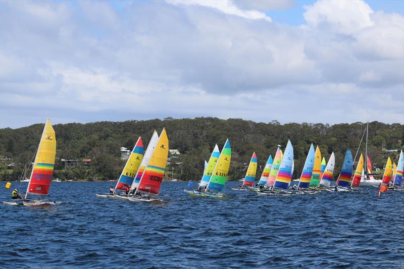 2026 Hobie Cat NSW State Championships at Wangi RSL Amateur Sailing Club - photo © Gavin Luxton