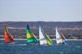 2022 Warren Taylor Homes WA Hobie State Championships © Natalie Whitfield