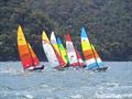 Palm Beach Sailing Club's annual 'Beware The Bullets' Regatta © Dick Clarke