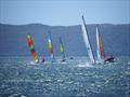 Palm Beach Sailing Club's annual 'Beware The Bullets' Regatta - is it windy or what? © Dick Clarke