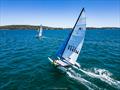 NSW Hobie State Championships on Lake Macquarie © Beau Outteridge