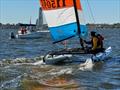 Racecourse action at the Bluster Regatta © Lisa Herendeen /Hobie Division 8