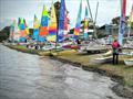 NSW Hobie Cat State Championships 2024 © Alannah Simpson