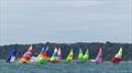 Jersey Regatta - Class 6 start &copy; Bill Harris