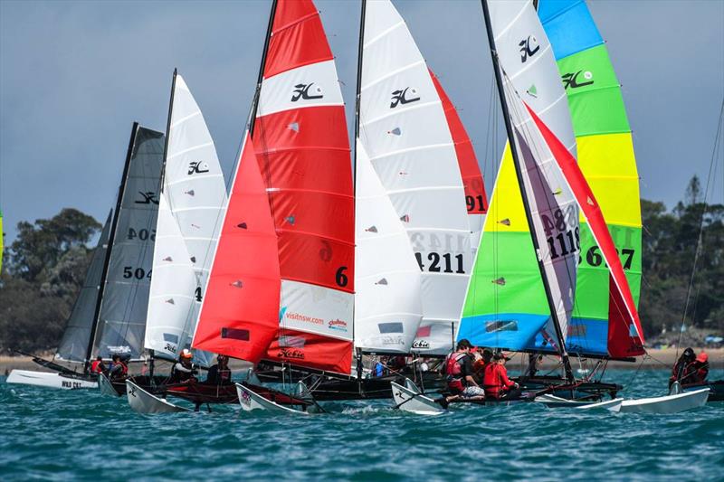 Palm Beach Sailing Club Annual Regatta photo copyright Phil Malcolm taken at Palm Beach Sailing Club, Sydney and featuring the Hobie 16 class