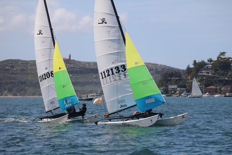 Hobie cat sailing at Palm Beach Sailing Club, Sydney photo copyright PBSC taken at Palm Beach Sailing Club, Sydney and featuring the Hobie 16 class