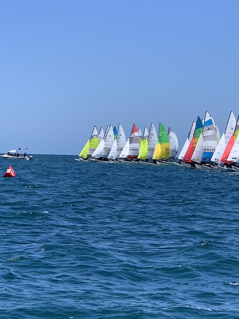 Hobie 16 start line - 2019-20 Australian Hobie Cat Nationals, day 1 photo copyright Murray Wood taken at Jervoise Bay Sailing Club and featuring the Hobie 16 class
