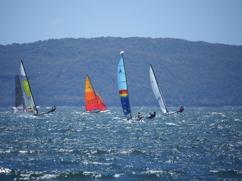 Palm Beach Sailing Club's annual 'Beware The Bullets' Regatta - Dhaawarri, trucking upwind with the future of our class in control photo copyright Dick Clarke taken at Palm Beach Sailing Club, Sydney and featuring the Hobie 16 class