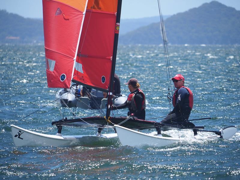 Palm Beach Sailing Club's annual 'Beware The Bullets' Regatta - the Palm Beach Royals themselves… photo copyright Dick Clarke taken at Palm Beach Sailing Club, Sydney and featuring the Hobie 16 class