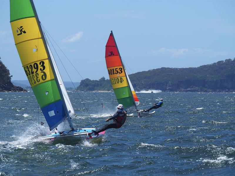 Palm Beach Sailing Club's annual 'Beware The Bullets' Regatta - Nelson, hot on Hatto heels photo copyright Dick Clarke taken at Palm Beach Sailing Club, Sydney and featuring the Hobie 16 class