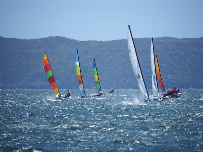 Palm Beach Sailing Club's annual 'Beware The Bullets' Regatta - is it windy or what? - photo © Dick Clarke