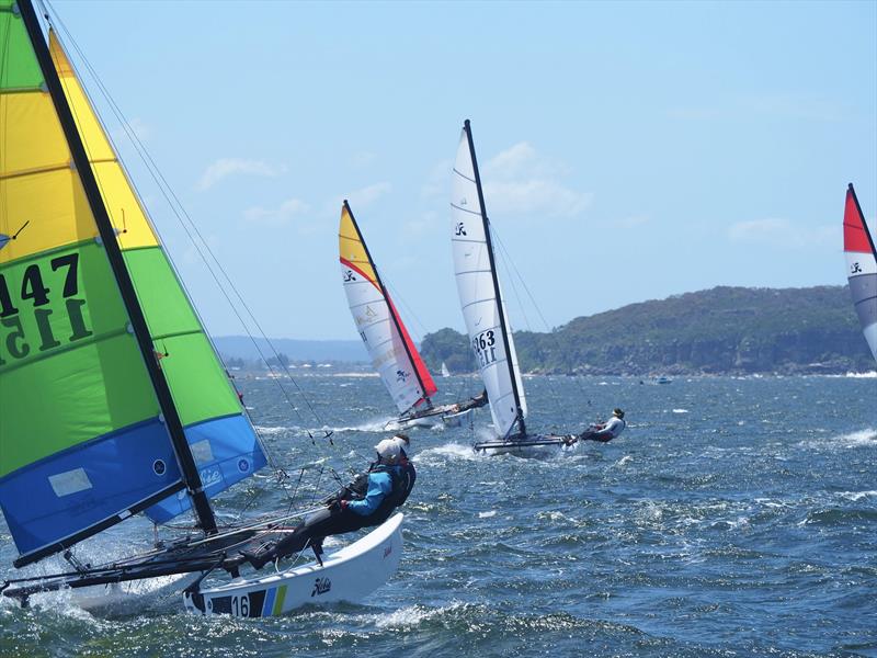 Palm Beach Sailing Club's annual 'Beware The Bullets' Regatta - Clare & Helen, on the beat photo copyright Dick Clarke taken at Palm Beach Sailing Club, Sydney and featuring the Hobie 16 class